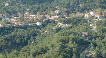 A photo of a green mountain with some housing