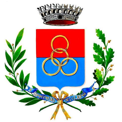 A banner with leaves and a crown around four golden rings