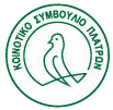A visual of a bird with green lines